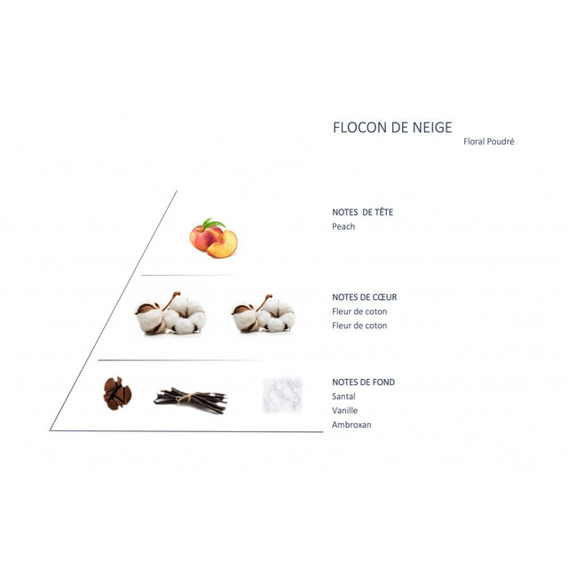 Flocon de neige